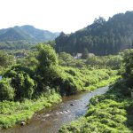 和田峠ふたたび