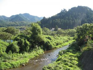 和田峠の麓