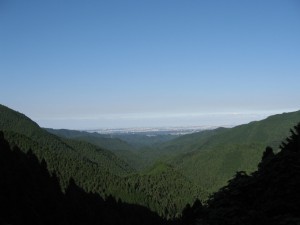 和田峠の中腹