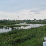 伝右川の源流への旅　その１