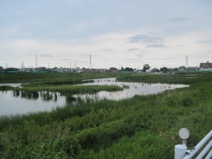 伝右川の調整池
