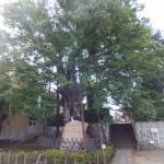 としまえんと練馬白山神社