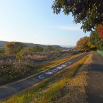 多摩川サイクリングロード（府中本町 ～　青梅）