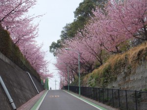 密蔵院 (1)