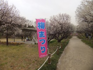 越谷　梅林公園