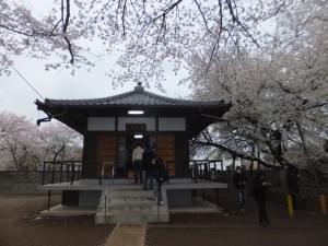 東光寺の本堂