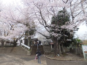 東光寺の入り口