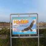 鎌倉～江の島 その４