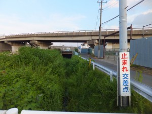 地上に現れた伝右川