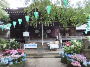 白山神社の本殿