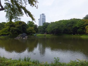 小石川後楽園の池