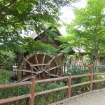 野川サイクリング　その１
