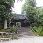 野川サイクリング　その２