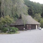 巾着田に行ってきた　その３