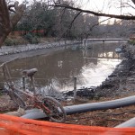 かいぼりをやっているので井の頭公園に行ってきた　その１
