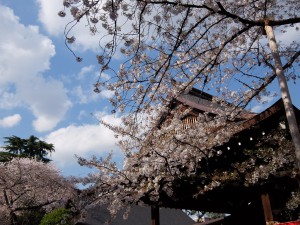 靖国神社 (2)