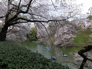 千鳥ヶ淵