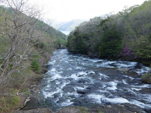 竜頭の滝