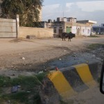 インド旅行　その５