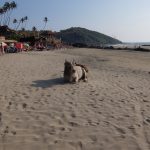 トランスの聖地インドのゴアに行ってきた　その１１