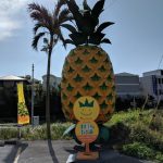SFC修行 沖縄那覇（４往復目）その３